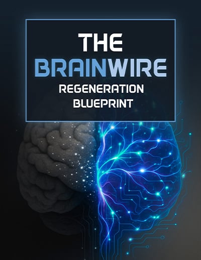 Audifort Bonus 2 The Brainwire Renegration Blueprint